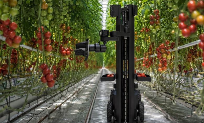 فخر الصناعة المصرية.. Egrobots تطلق أول روبوت ذكاء اصطناعي لحصاد المزارع في الوطن العربي