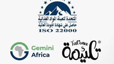 خطوة تاريخية للصناعة المصرية.. اختيار مشروع تلقيمة ضمن Gemini Africa