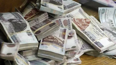 معاشات يونيو 2026.. هل يتم تبكير الصرف قبل عيد الأضحى؟ وما موعد الزيادة السنوية رسمييًا؟