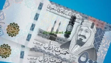 مع اقتراب موسم الحج.. سعر الريال السعودي اليوم الجمعة 1 مايو 2026 في مصر