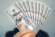 سعر الدولار اليوم السبت 20 يونيو 2026 مقابل الجنيه المصري.. استقرار في البنوك