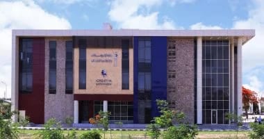 مصر الرقمية تضيف 50 خدمة جديدة لتعزيز التحول الرقمي في الخدمات الحكومية