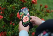 حيل بسيطة تجعل صور هاتفك تبدو احترافية.. خطوات سهلة لالتقاط لقطات مميزة
