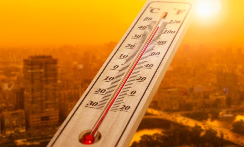 موجة حر شديدة تضرب مصر.. أطباء يحذرون من ضربات الشمس ويكشفون طرق الوقاية