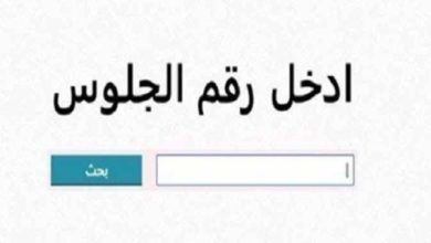 نتيجة ثالثة إعدادي 2026 برقم الجلوس والاسم.. موعد الإعلان الرسمي وخطوات الاستعلام