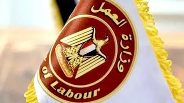 7781 فرصة عمل جديدة في 11 محافظة.. وزارة العمل تكشف الرواتب والتخصصات المطلوبة