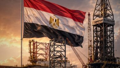 الحكومة تعلن سداد جميع مستحقات شركاء البترول والغاز.. ومدبولي: صفحة جديدة للاستثمار والنمو