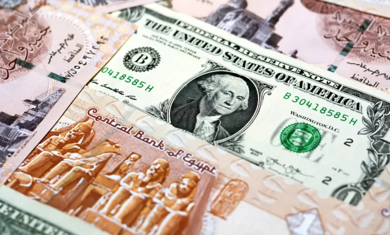 الدولار عند مستوى جديد اليوم.. تعرف على سعر الشراء والبيع في البنوك