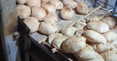 الدعم النقدي يغيّر آليات صرف الخبز المدعم.. كيف سيحصل أصحاب بطاقات التموين على مستحقاتهم؟