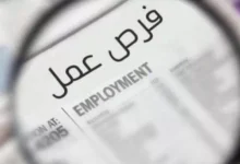 وظائف وزارة التنمية المحلية والبيئة 2026.. فتح باب التقديم على 21 وظيفة بنظام التعاقد والشروط الكاملة