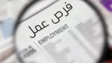 وظائف وزارة التنمية المحلية والبيئة 2026.. فتح باب التقديم على 21 وظيفة بنظام التعاقد والشروط الكاملة