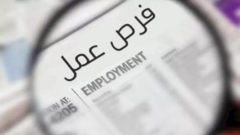 وظائف وزارة التنمية المحلية والبيئة 2026.. فتح باب التقديم على 21 وظيفة بنظام التعاقد والشروط الكاملة