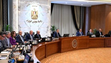 9 قرارات جديدة من مجلس الوزراء اليوم.. جامعة بريطانية وفرص عمل وتخصيص أراضٍ