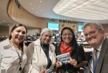 إنجاز مصري جديد.. الدكتورة هبة إسماعيل تمثل «الإفلا» في منتدى الأمم المتحدة للتنمية المستدامة بنيويورك