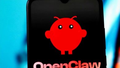 رسالة واتساب واحدة قد تمنح المهاجمين السيطرة على جهازك.. تحذير عاجل لمستخدمي OpenClaw