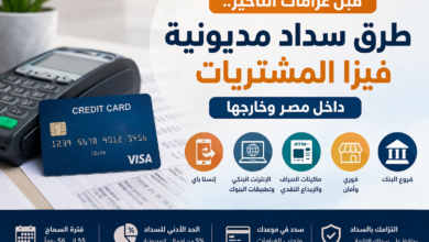 قبل غرامات التأخير.. 7 طرق لسداد مديونية فيزا المشتريات داخل مصر وخارجها