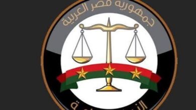 بعد ضبط 31 شريحة.. النيابة تكشف تفاصيل جديدة في أزمة خطوط المحمول المسجلة بأسماء المواطنين