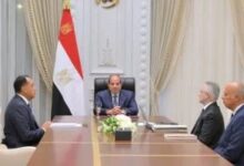 بعد اجتماع الرئيس السيسي.. خدمات قضائية إلكترونية وتوثيق عن بُعد وحماية سيبرانية لبيانات المواطنين