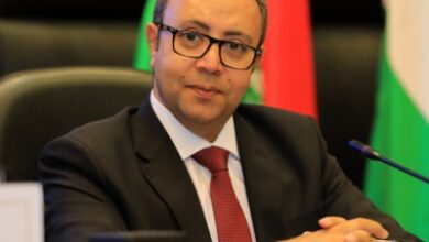 محمد المفتي: الكرنك شات خطوة وطنية مهمة فى توطين التكنولوجيا