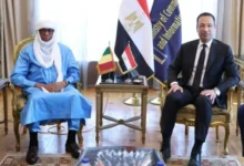 وزير الاتصالات يبحث مع نظيره المالي تعزيز التعاون التكنولوجي.. الألياف الضوئية والذكاء الاصطناعي والخدمات الحكومية على طاولة المباحثات