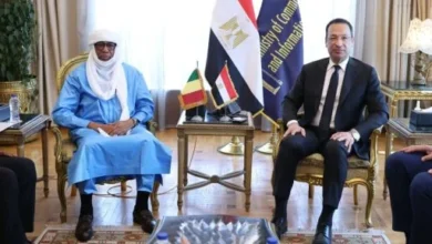 وزير الاتصالات يبحث مع نظيره المالي تعزيز التعاون التكنولوجي.. الألياف الضوئية والذكاء الاصطناعي والخدمات الحكومية على طاولة المباحثات
