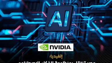 NVIDIA تكشف تفاصيل طفرة الذكاء الاصطناعي في مصر.. نمو المطورين والشركات الناشئة وتوسع مراكز البيانات