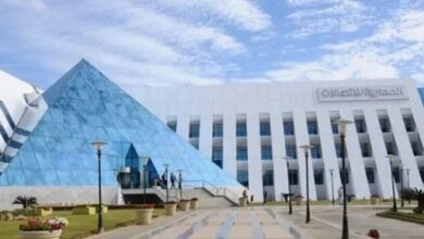 بدون ورق أو إجراءات يدوية.. وي تطلق E-KYC لتفعيل خطوط المحمول والتحقق من هوية العملاء رقميًا وفوريًا