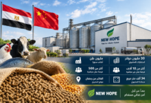 باستثمارات 30 مليون دولار.. مشروع «نيوهوب» الصينية في مصر يستهدف إنتاج مليون طن أعلاف وتوفير آلاف فرص العمل