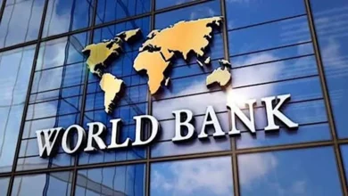 مصر في المركز الرابع إقليميًا بـ289 شركة للذكاء الاصطناعي.. وخريجو التكنولوجيا 3% فقط