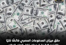 الاقتصاد المصري يحقق تحولًا لافتًا.. ميزان المدفوعات ينتقل من العجز إلى فائض ملياري خلال 2025/2026