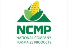 الوطنية لمنتجات الذرة «NCMP» تصدر جلوتين الذرة عالي البروتين إلى أفريقيا لأول مرة من مصر