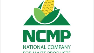 الوطنية لمنتجات الذرة «NCMP» تصدر جلوتين الذرة عالي البروتين إلى أفريقيا لأول مرة من مصر