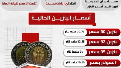 بعد قرار الحكومة بتثبيت أسعار الوقود.. أسعار البنزين والسولار والبوتاجاز في مصر حتى نهاية 2026
