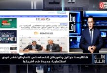 «وطن رقمي» يرصد تفاصيل تحرك «كاتاليست بارتنرز» الجديد لفتح آفاق الصفقات والتوسع الأفريقي