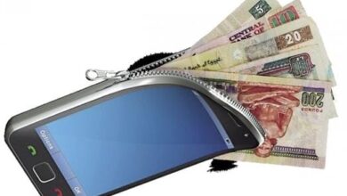 كيف تختار محفظتك الرقمية؟ تعرف على أنواع وسائل الدفع الإلكتروني واستخداماتها