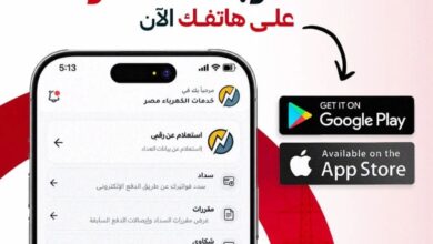 خدمات الكهرباء من موبايلك.. فيكسد مصر تتيح تقديم الطلبات وسداد الرسوم إلكترونيًا