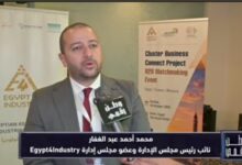 وطن رقمي يكشف خطة ربط المصانع المصرية بأوروبا وفتح أسواق تصديرية جديدة أمام المنتجات المحلية